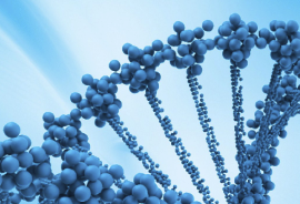 Máster en Oncología Médica SEOM (Ed. 2025-2028)