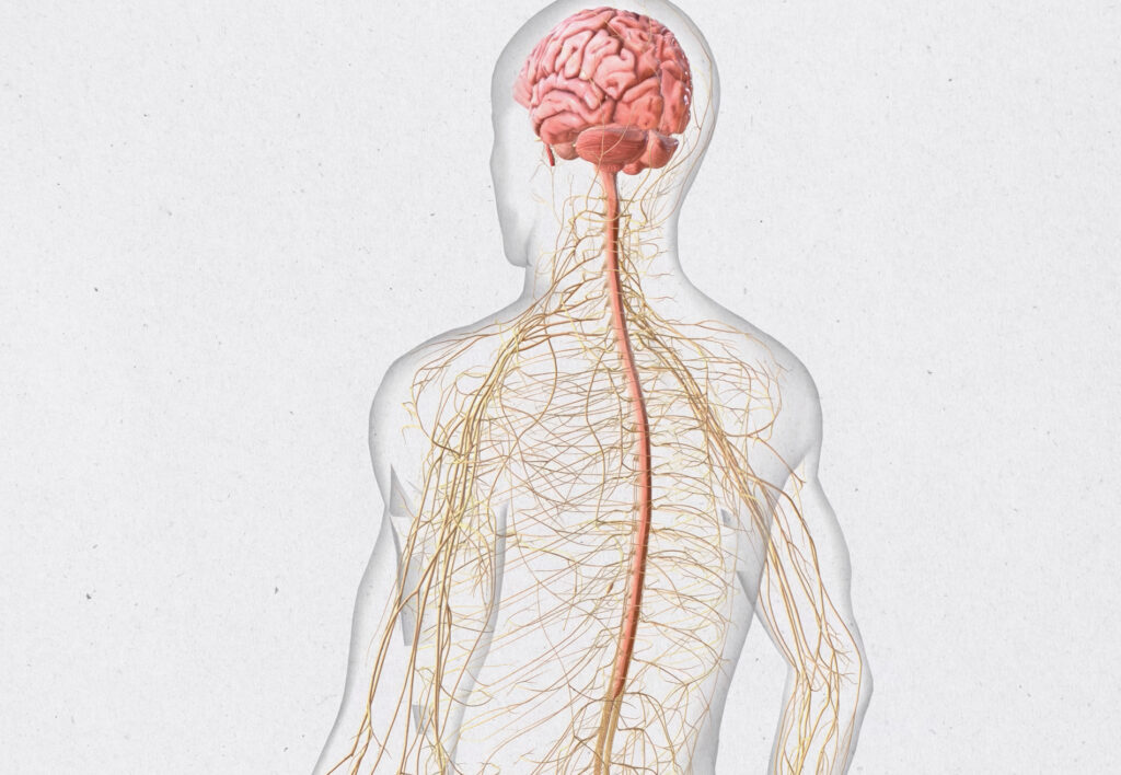 Abordaje de la Neurotoxicidad en Oncohematología