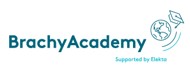 Preceptorship in gynecological brachytherapy